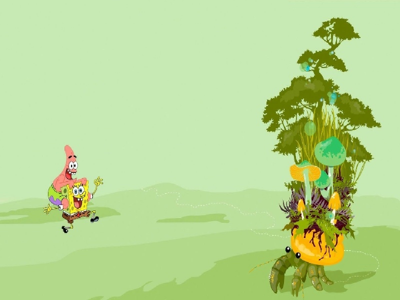 张女士成功案例