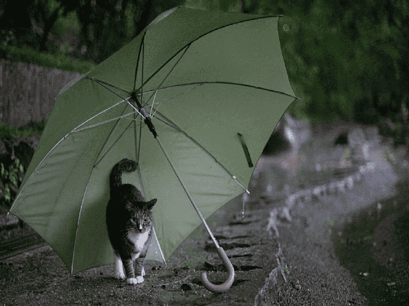 王女士成功案例